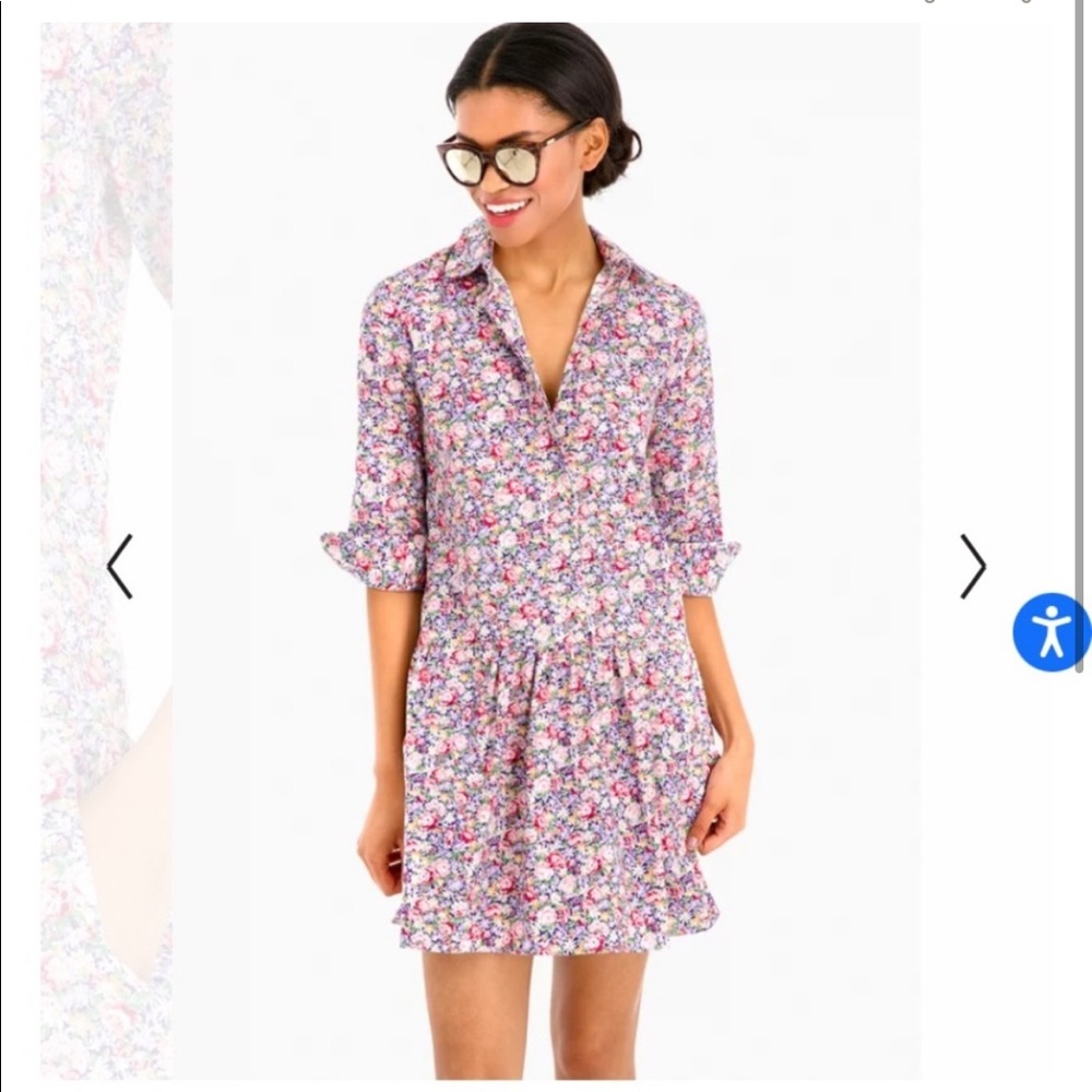 The Shirt by Rochelle Behrens The Drop Waist Shirt Dress